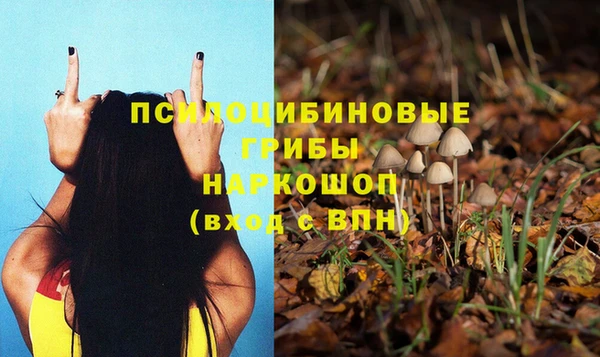 гидропоника Белоозёрский